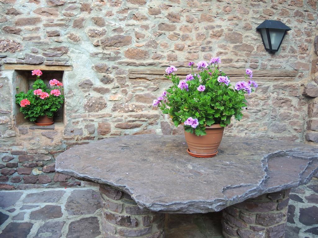 Turisme Rural Lo Pallé de Cal Bosch Llagunes Exterior foto
